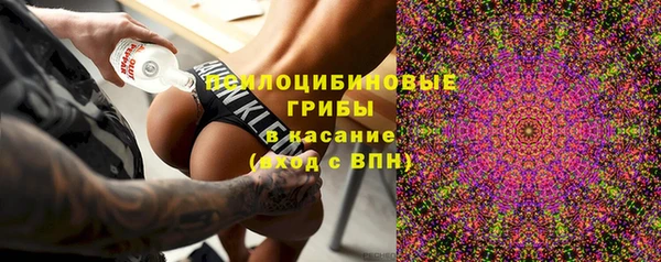 мяу мяу мука Бородино