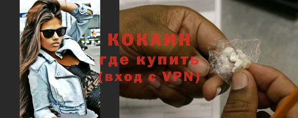 мяу мяу мука Бородино