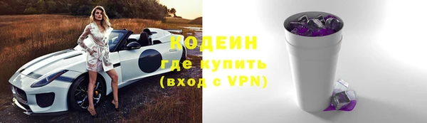 крисы Верхний Тагил