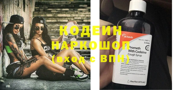индика Богданович