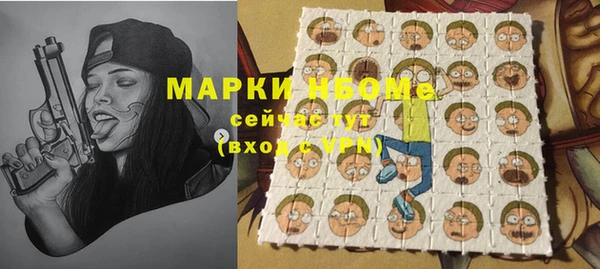 крисы Верхний Тагил