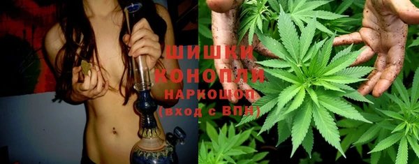 прущая мука Верея