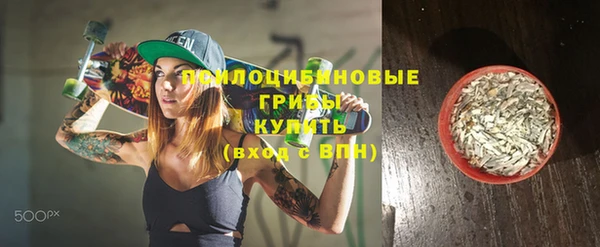 крисы Верхний Тагил