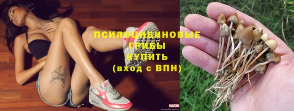 мяу мяу мука Бородино